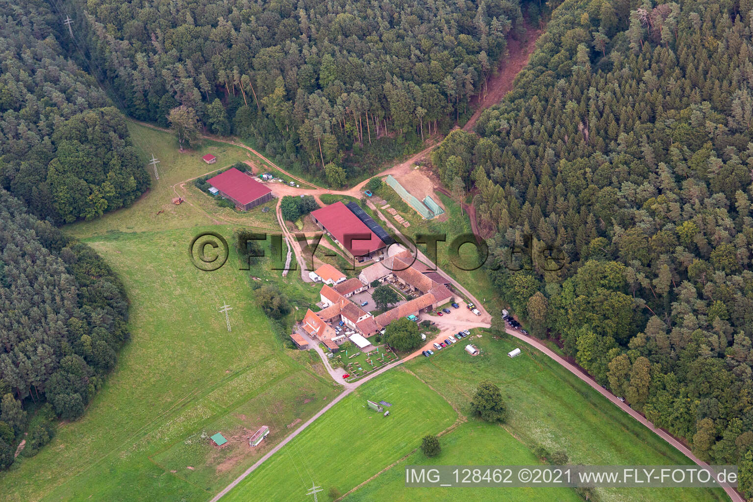 Luftaufnahme von Bärenbrunnerhof in Busenberg im Bundesland Rheinland-Pfalz, Deutschland