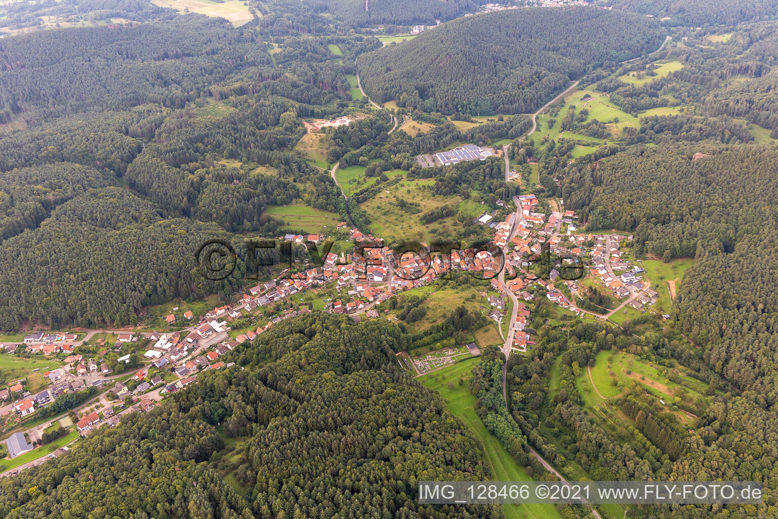 Schwanheim im Bundesland Rheinland-Pfalz, Deutschland aus der Vogelperspektive