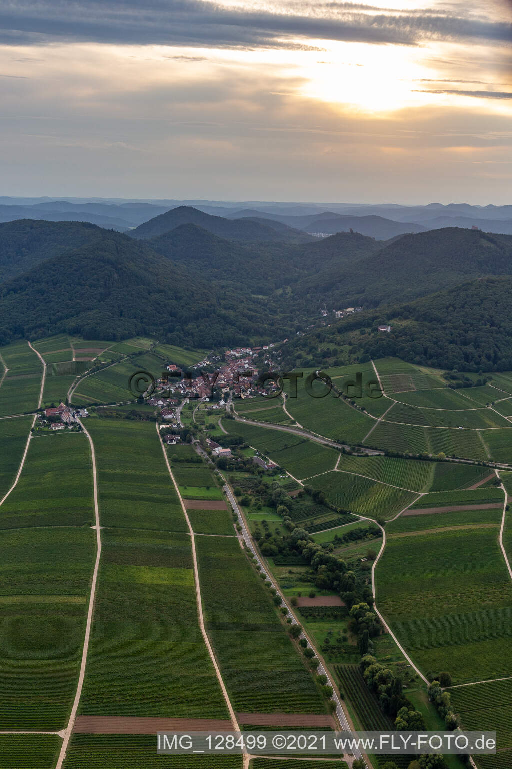 Leinsweiler im Bundesland Rheinland-Pfalz, Deutschland von oben