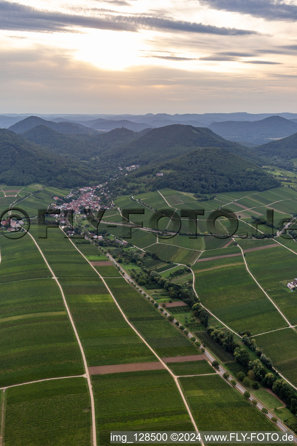 Felder einer Weinbergs- und Rebstocks- Landschaft der Winzer- Gebiete in Leinsweiler im Bundesland Rheinland-Pfalz, Deutschland