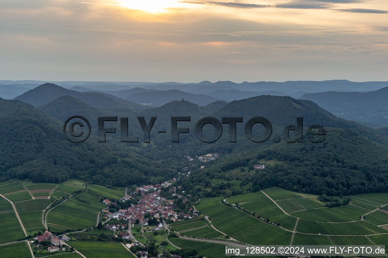 Luftbild von Felder einer Weinbergs- und Rebstocks- Landschaft der Winzer- Gebiete in Leinsweiler im Bundesland Rheinland-Pfalz, Deutschland