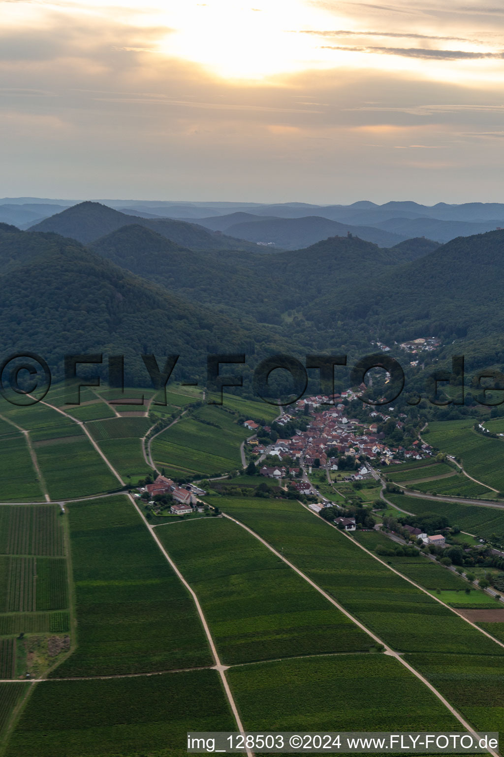 Luftaufnahme von Felder einer Weinbergs- und Rebstocks- Landschaft der Winzer- Gebiete in Leinsweiler im Bundesland Rheinland-Pfalz, Deutschland