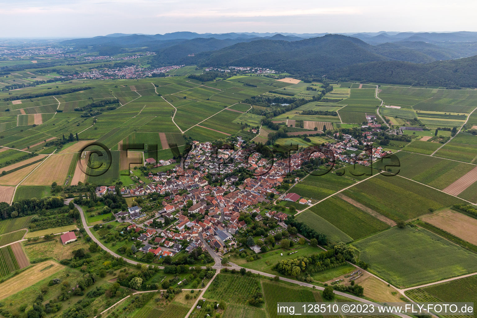 Göcklingen im Bundesland Rheinland-Pfalz, Deutschland von der Drohne aus gesehen