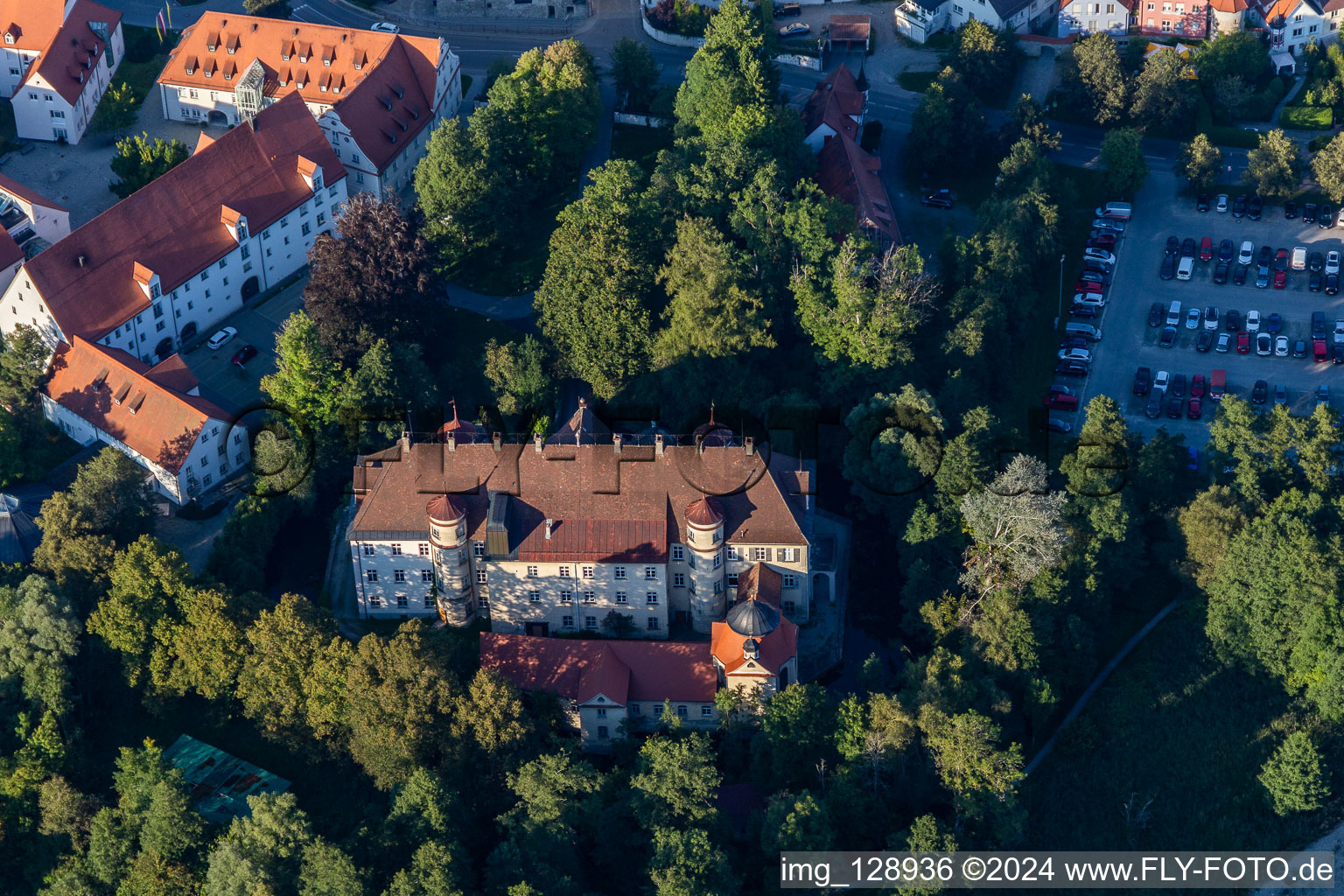 Luftbild von Schloss im Ortsteil Steinach in Bad Waldsee im Bundesland Baden-Württemberg, Deutschland