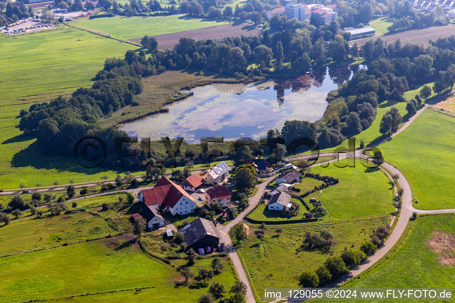 Zellersee im Ortsteil Zellerhof in Bad Schussenried im Bundesland Baden-Württemberg, Deutschland