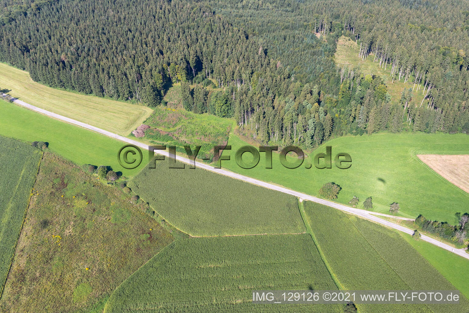 Luftbild von Wolfegg im Bundesland Baden-Württemberg, Deutschland