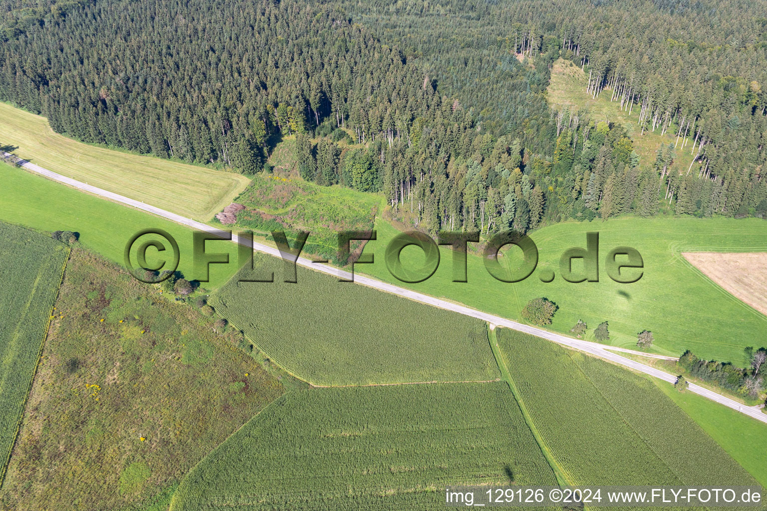 Luftbild von Wolfegg im Bundesland Baden-Württemberg, Deutschland