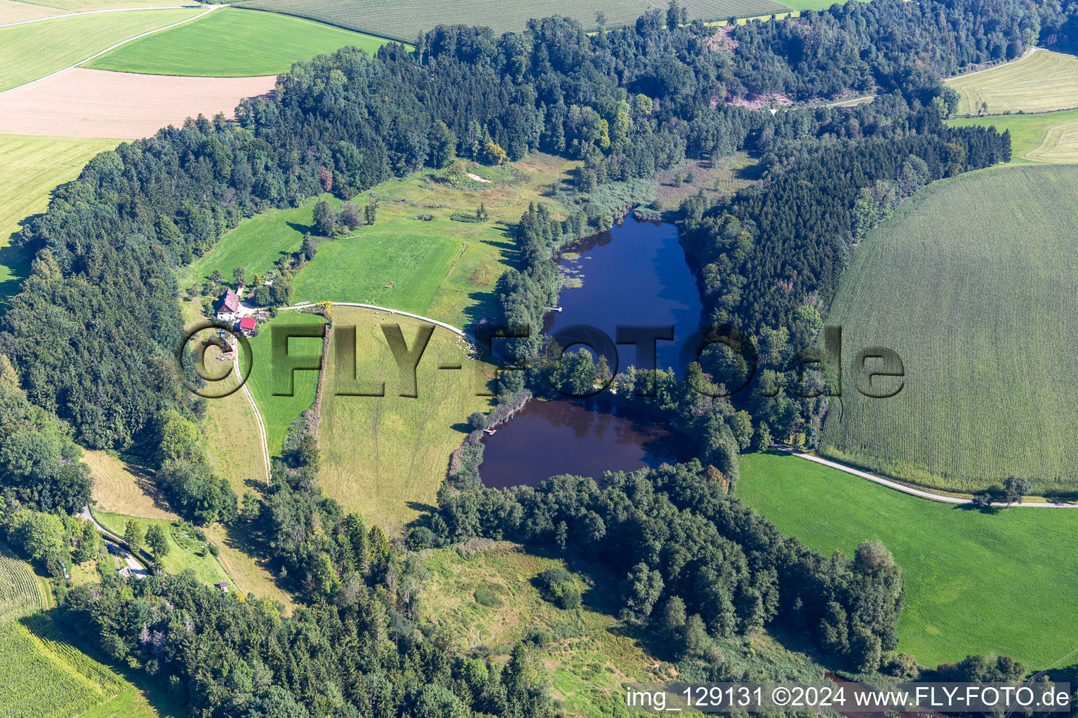 Elfenweiher im Ortsteil Witschwende in Bergatreute im Bundesland Baden-Württemberg, Deutschland