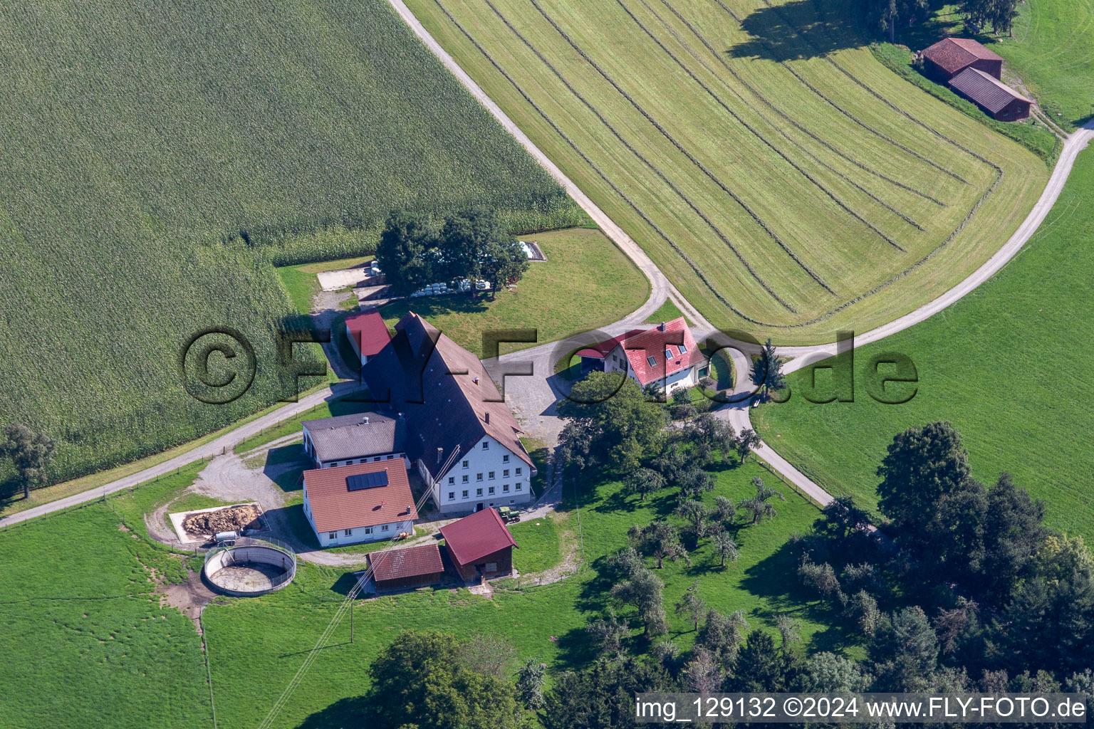 Schafhof im Ortsteil Witschwende in Bergatreute im Bundesland Baden-Württemberg, Deutschland