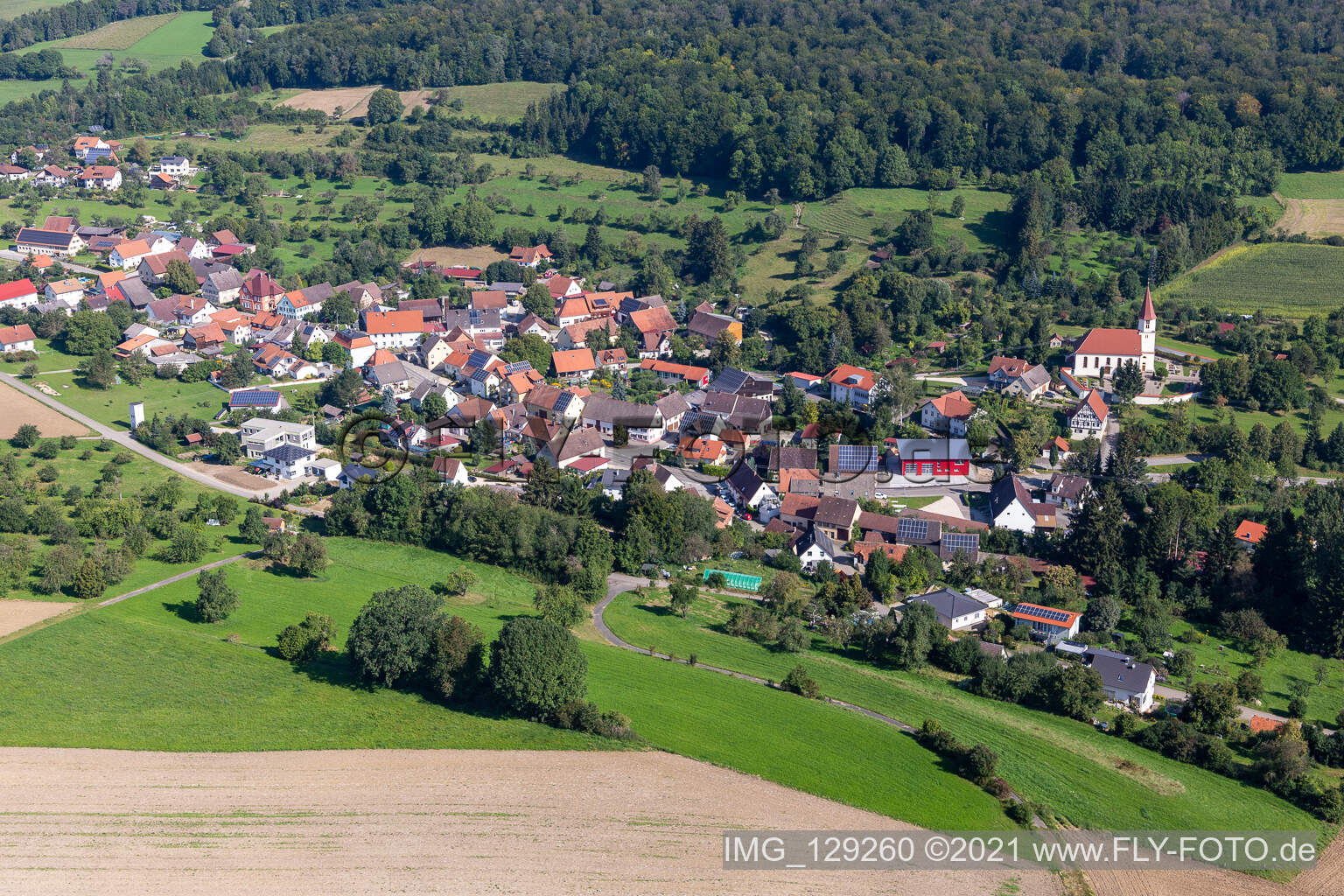 Riedlingen im Bundesland Baden-Württemberg, Deutschland aus der Luft