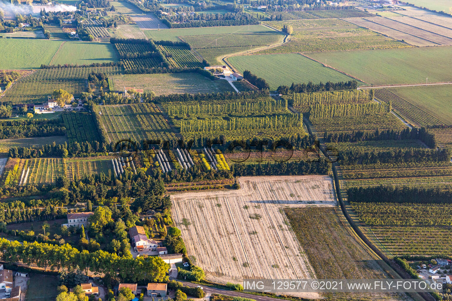 Windgeschützte Plantagen in Tarascon im Bundesland Bouches-du-Rhône, Frankreich