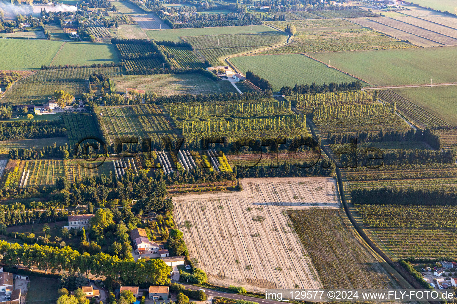 Windgeschützte Plantagen in Tarascon im Bundesland Bouches-du-Rhône, Frankreich