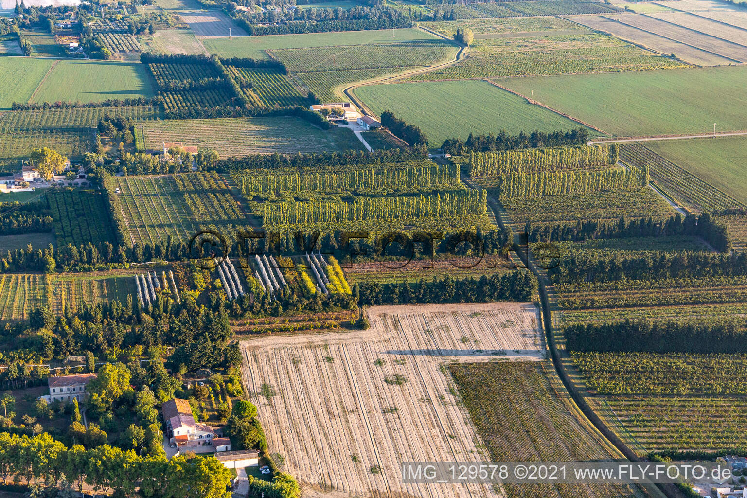 Luftbild von Windgeschützte Plantagen in Tarascon im Bundesland Bouches-du-Rhône, Frankreich
