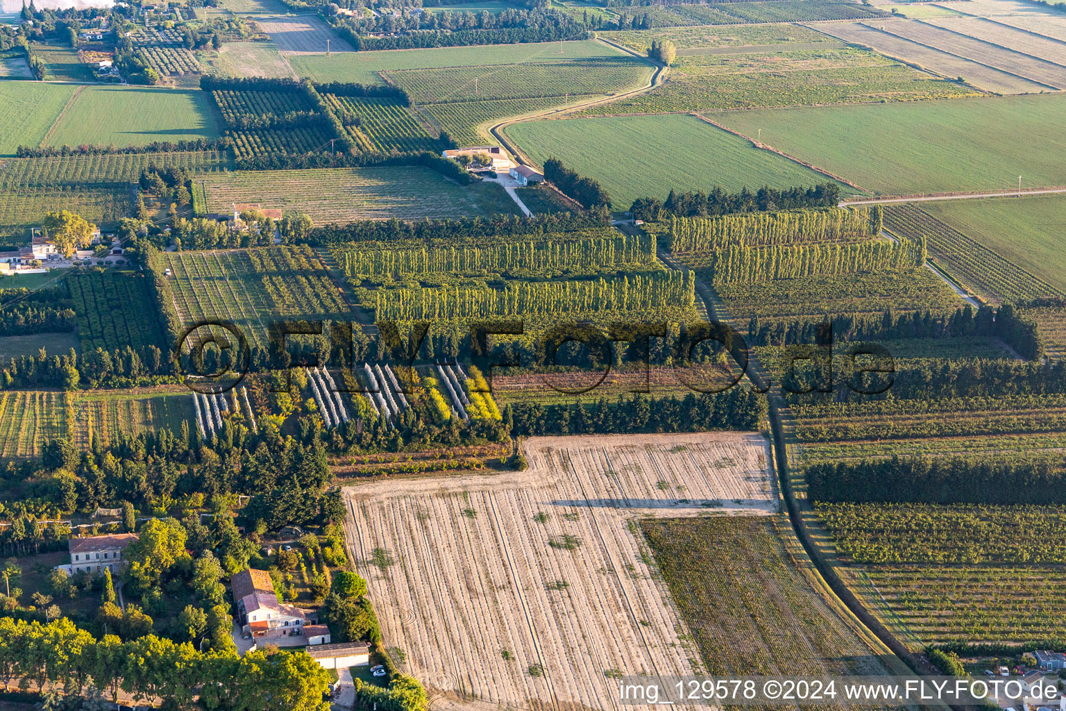 Luftbild von Windgeschützte Plantagen in Tarascon im Bundesland Bouches-du-Rhône, Frankreich