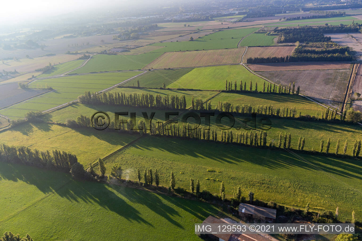 Windgeschützte Felder in Maillane im Bundesland Bouches-du-Rhône, Frankreich