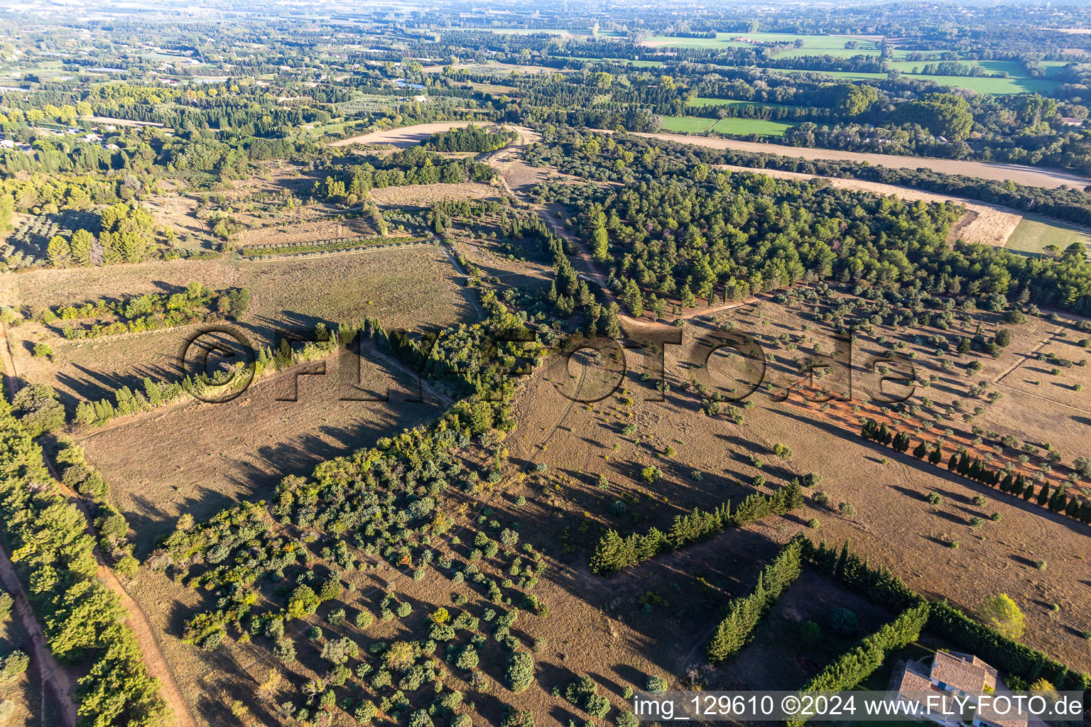 La plaine de Crau in Saint-Rémy-de-Provence im Bundesland Bouches-du-Rhône, Frankreich