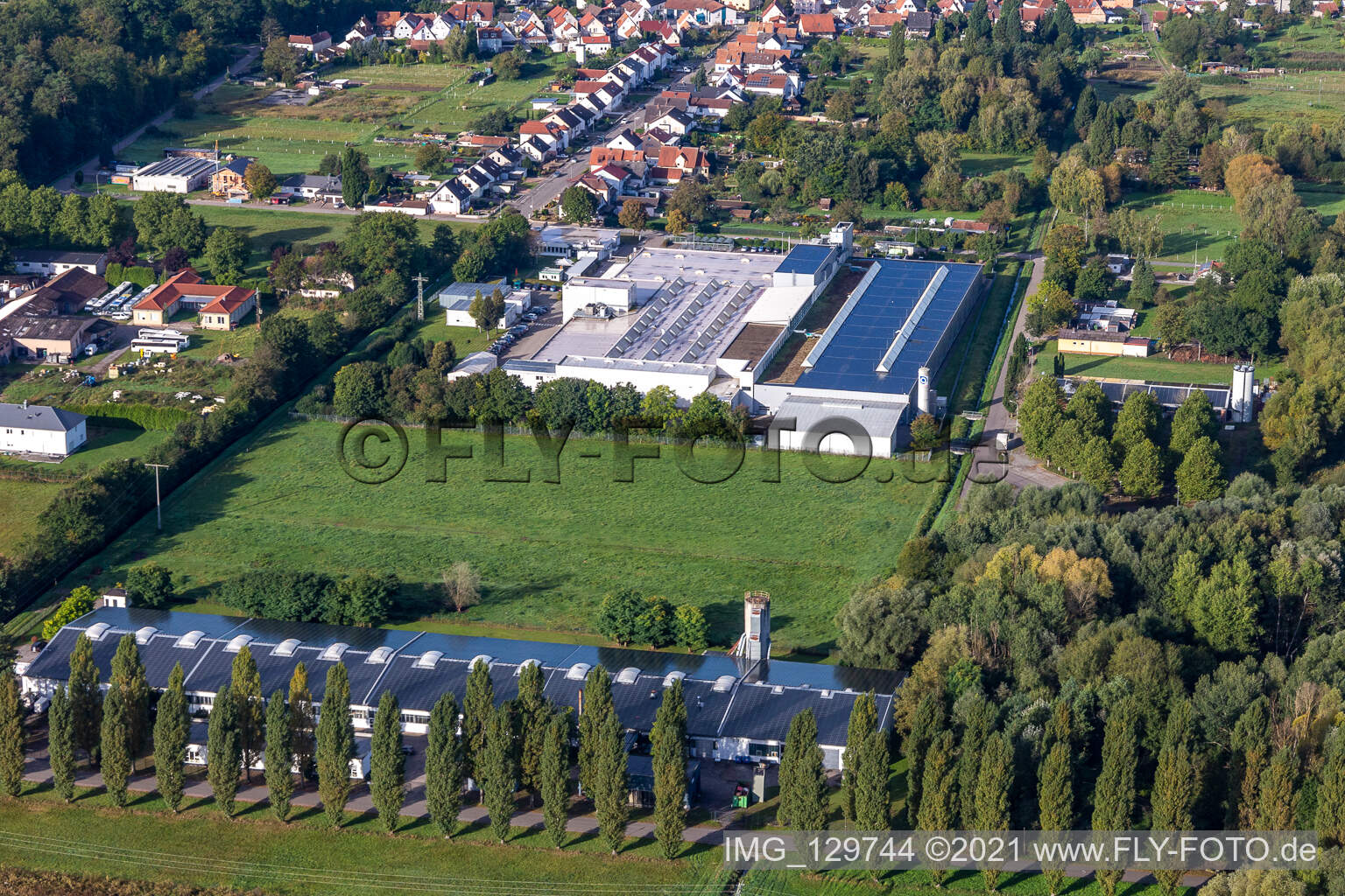 Luftaufnahme von Cactus Druck & Verlags-GmbH im Ortsteil Schaidt in Wörth am Rhein im Bundesland Rheinland-Pfalz, Deutschland