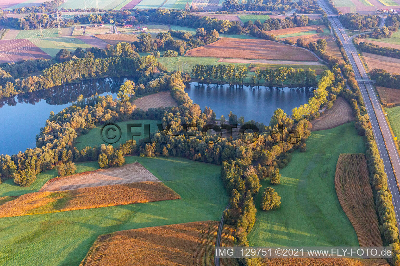 Rheinzabern im Bundesland Rheinland-Pfalz, Deutschland aus der Luft betrachtet