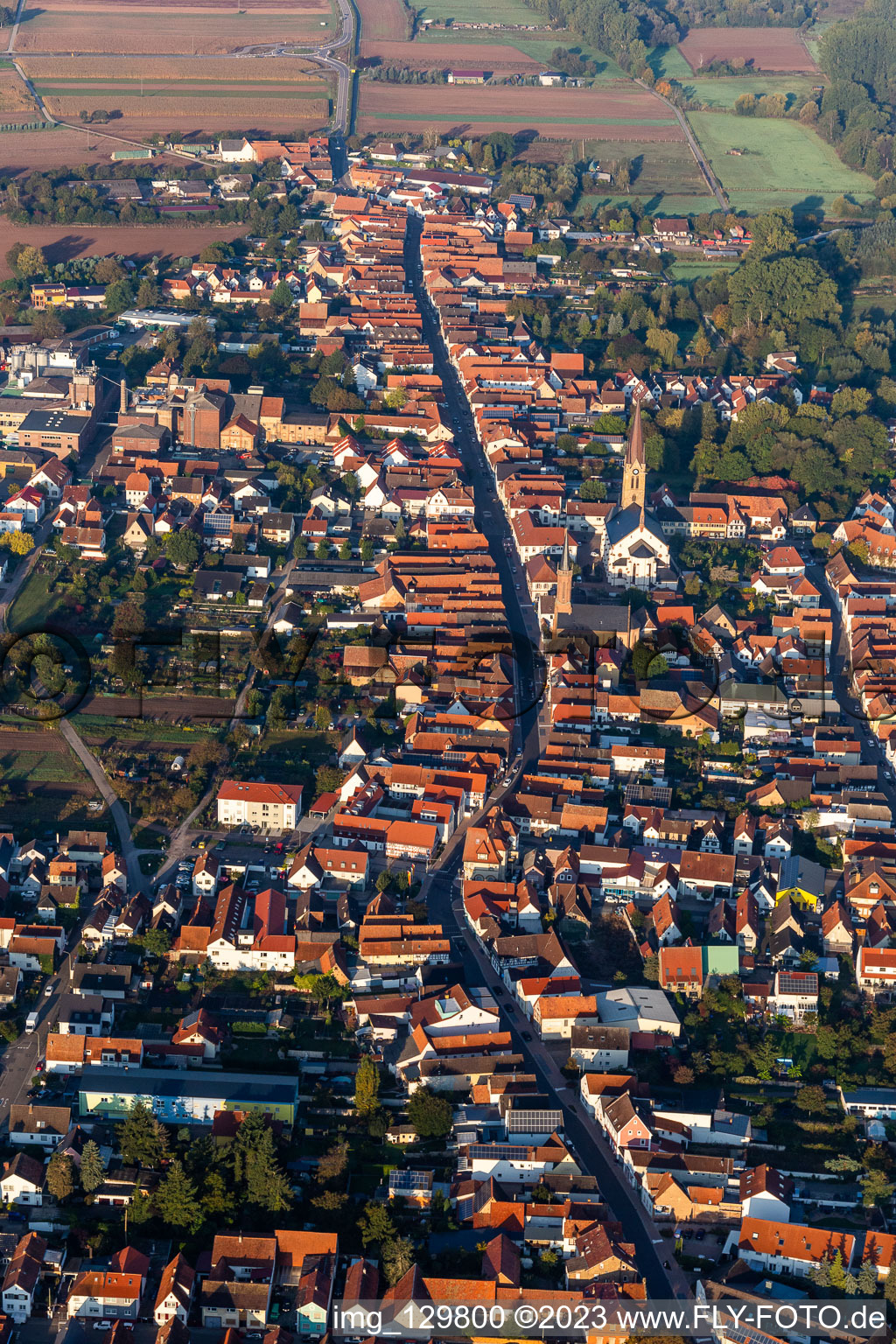 Luftaufnahme von Ortsansicht der Straßen und Häuser der Wohngebiete in Bellheim im Bundesland Rheinland-Pfalz, Deutschland