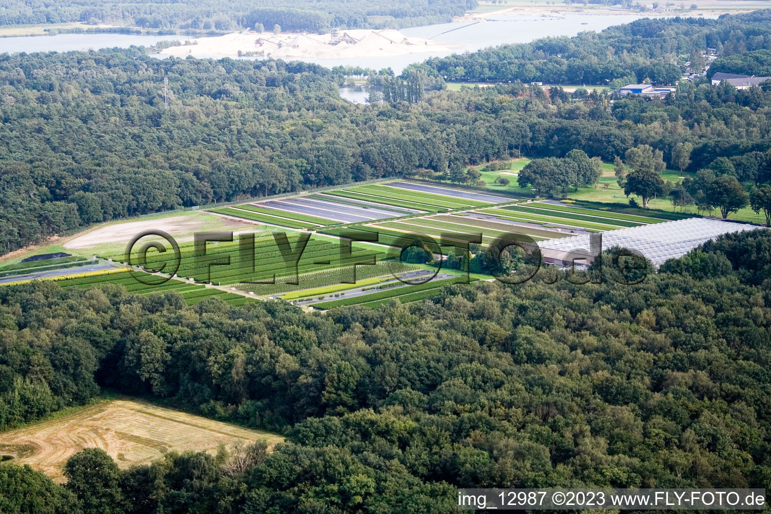 Drohnenbild von De Hamert im Bundesland Limburg, Niederlande