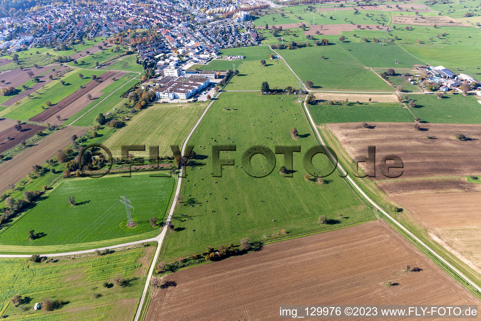 Luftbild von Rinderweide im Ortsteil Langensteinbach in Karlsbad im Bundesland Baden-Württemberg, Deutschland