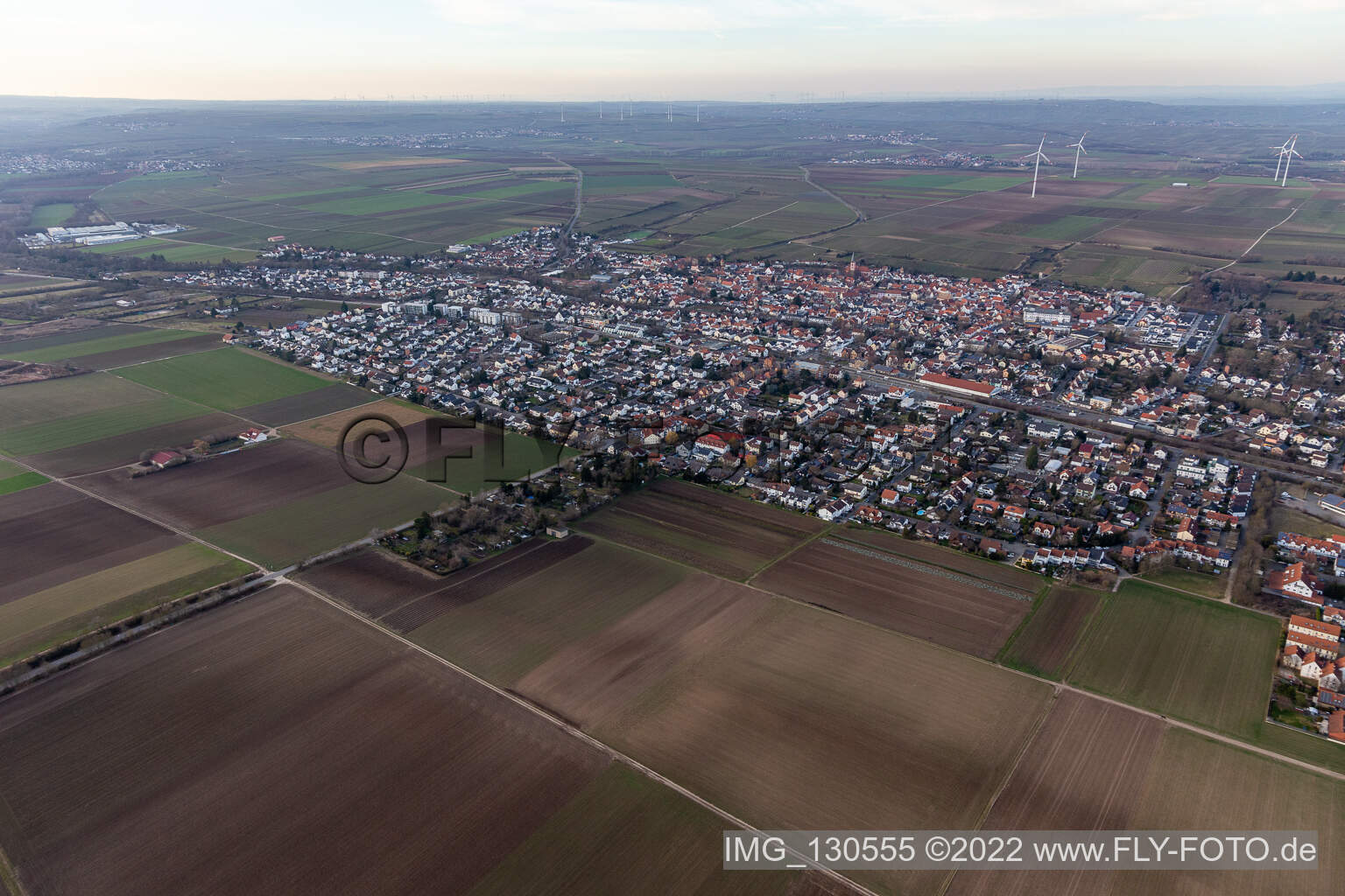 Ortsteil Pfeddersheim in Worms im Bundesland Rheinland-Pfalz, Deutschland vom Flugzeug aus