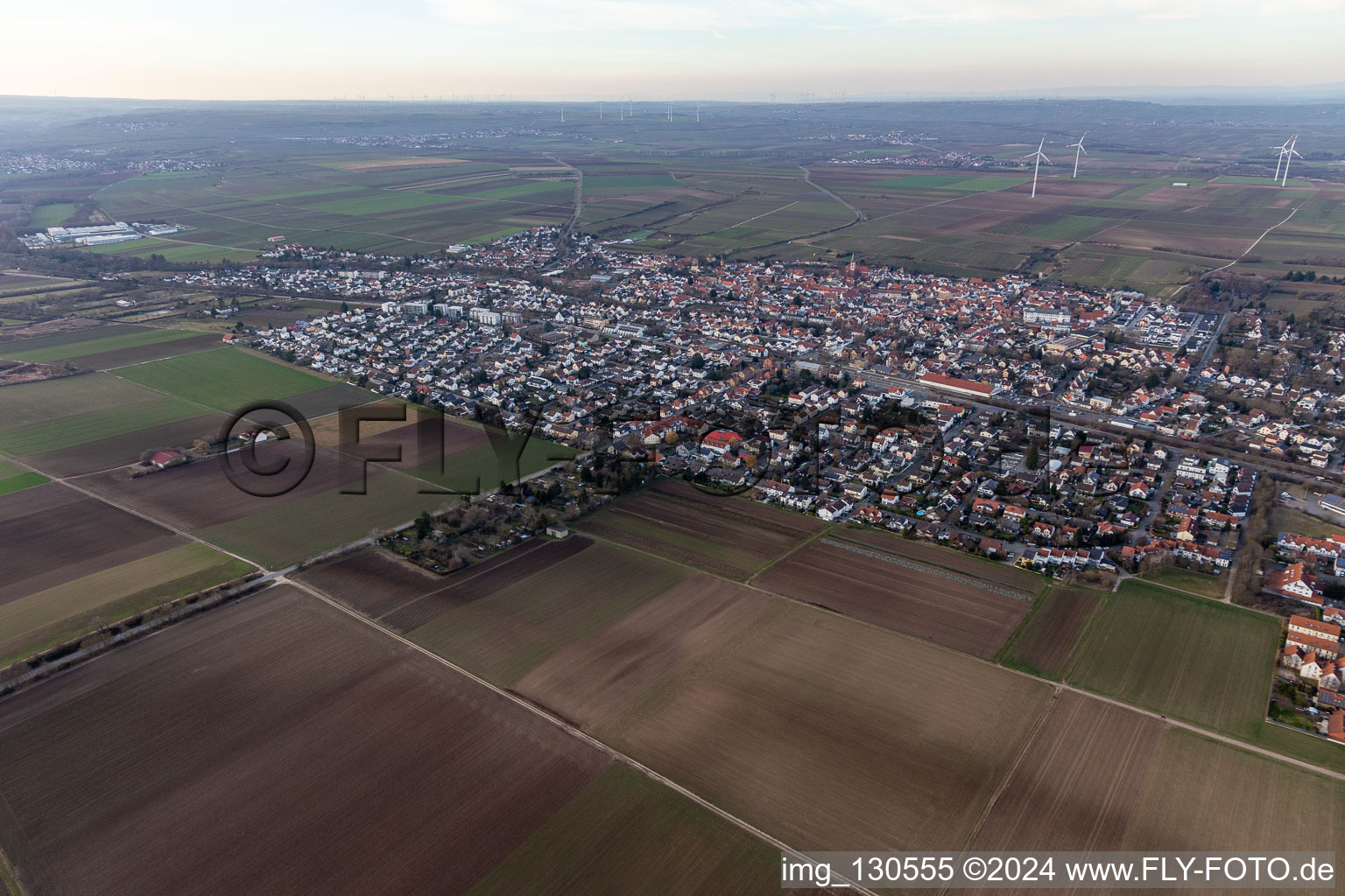 Ortsteil Pfeddersheim in Worms im Bundesland Rheinland-Pfalz, Deutschland vom Flugzeug aus