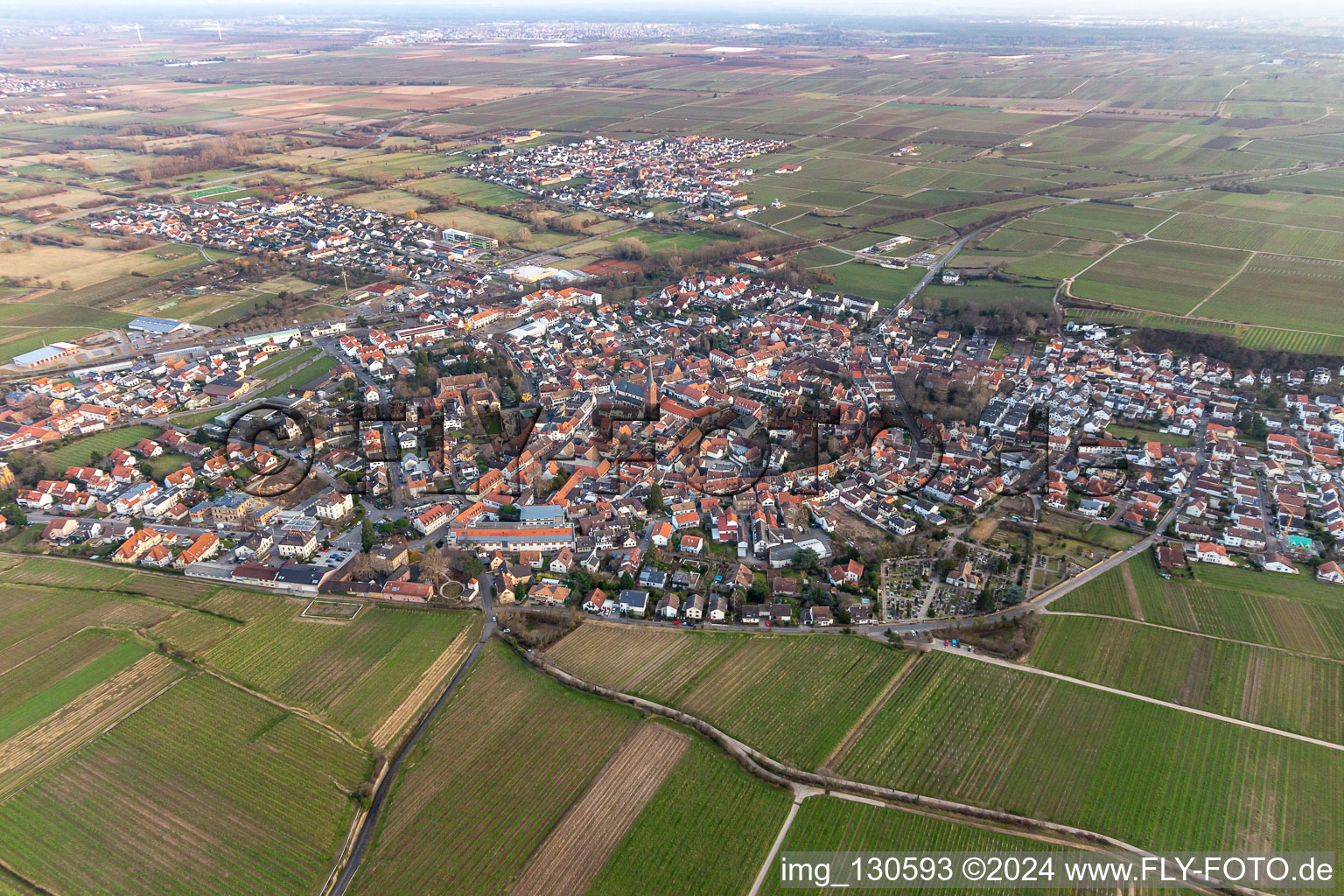 Drohnenbild von Deidesheim im Bundesland Rheinland-Pfalz, Deutschland