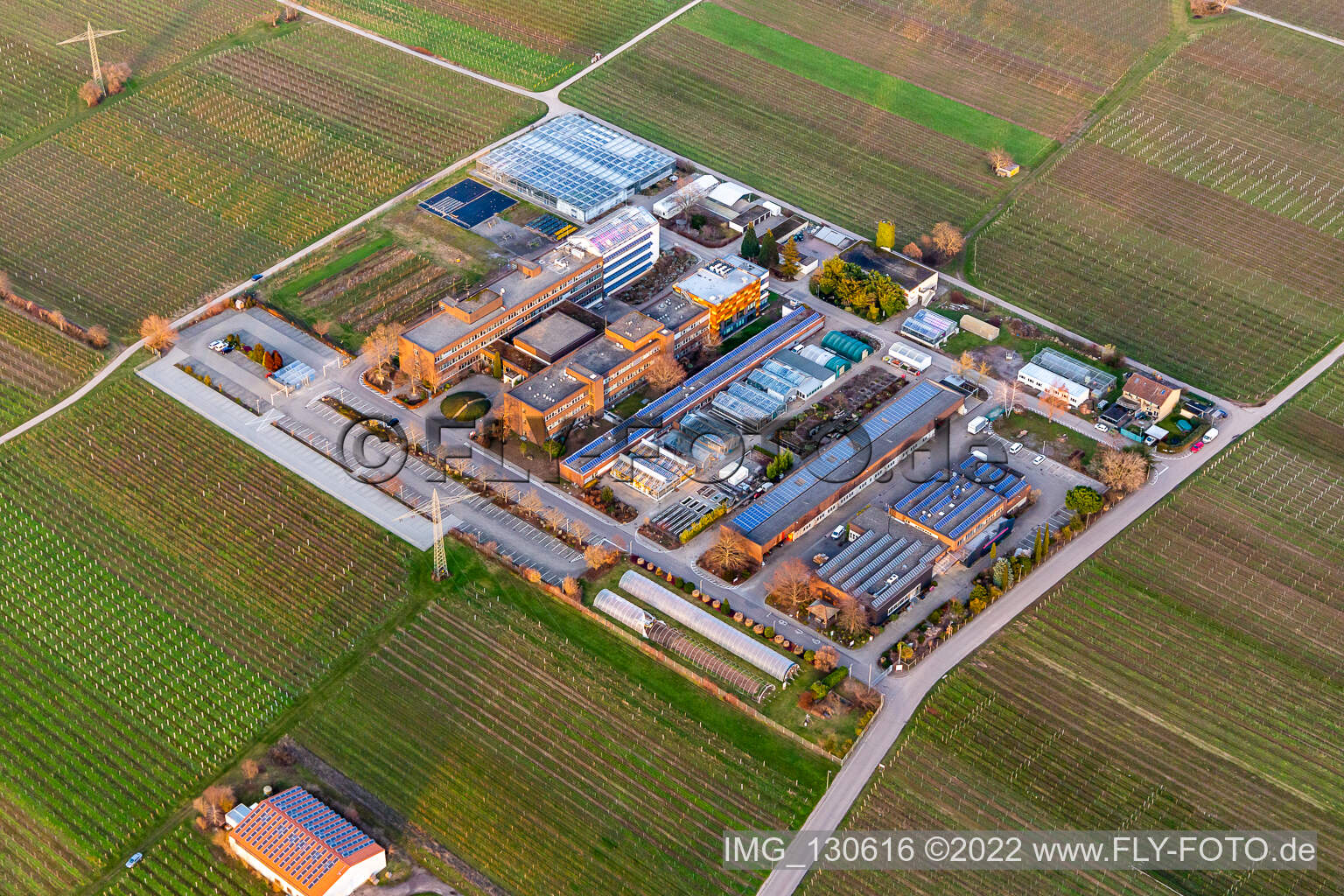 Luftbild von Mußbach, RLP Agroscience GmbH, DLR-Dienstleistungszentrum Ländlicher Raum Rheinpfalz, in Neustadt an der Weinstraße im Bundesland Rheinland-Pfalz, Deutschland