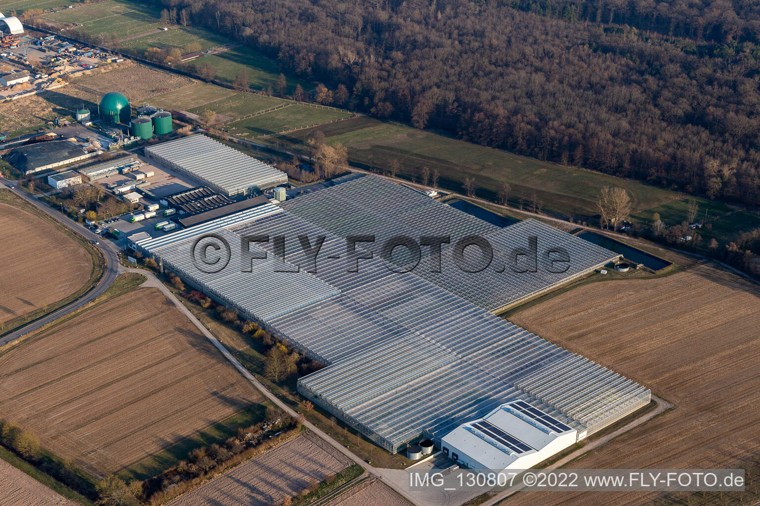 Luftbild von Rudolf Sinn Jungpflanzen GmbH & Co. KG in Lustadt im Bundesland Rheinland-Pfalz, Deutschland