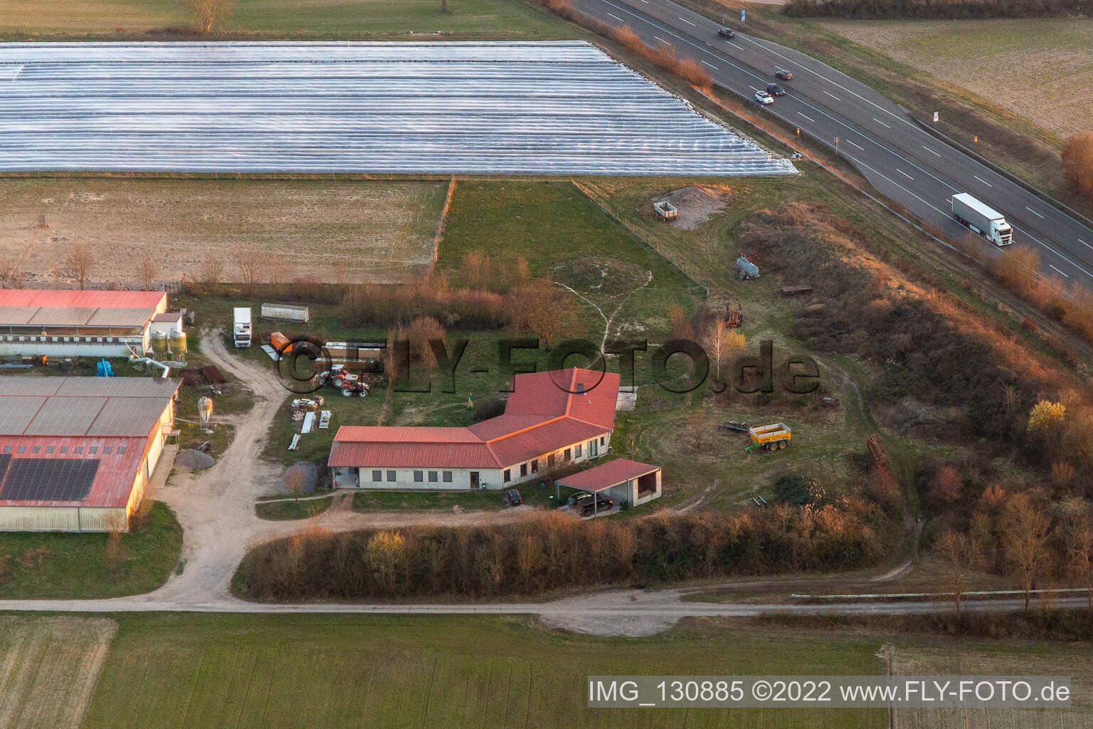 Schrägluftbild von Hühnerhof - Eierfarm in Erlenbach bei Kandel im Bundesland Rheinland-Pfalz, Deutschland