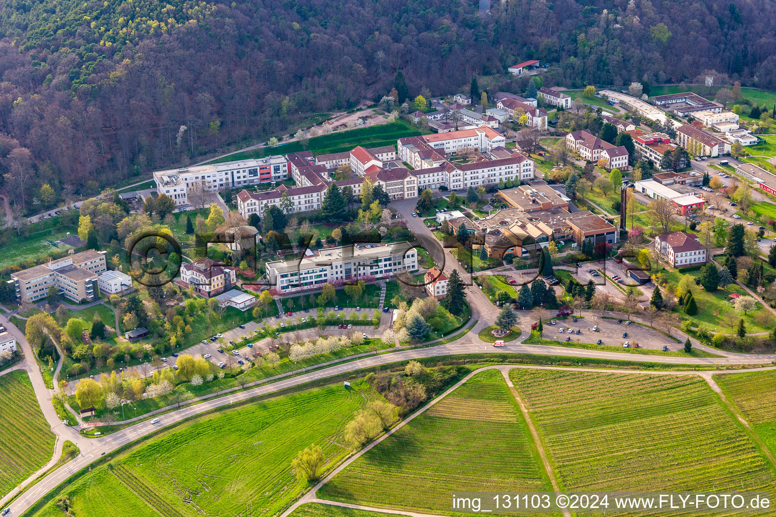 Pfalzklinik Landeck in Klingenmünster im Bundesland Rheinland-Pfalz, Deutschland vom Flugzeug aus