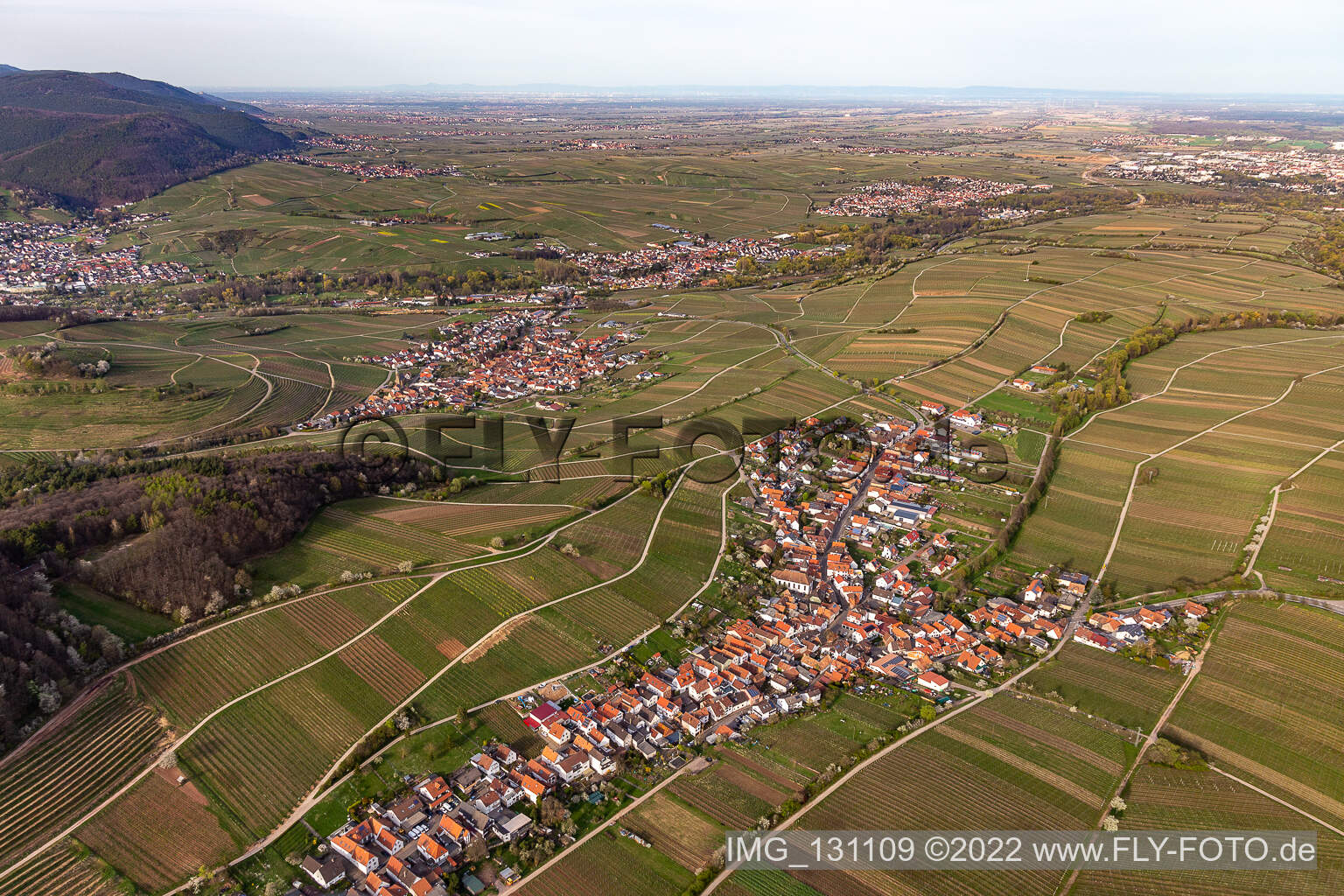 Ranschbach im Bundesland Rheinland-Pfalz, Deutschland von der Drohne aus gesehen