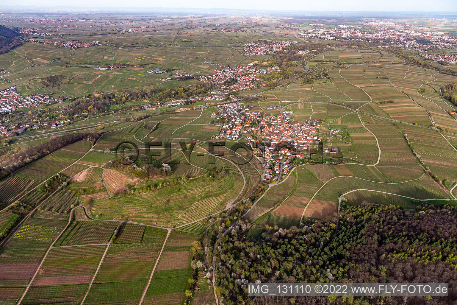 Birkweiler im Bundesland Rheinland-Pfalz, Deutschland aus der Luft