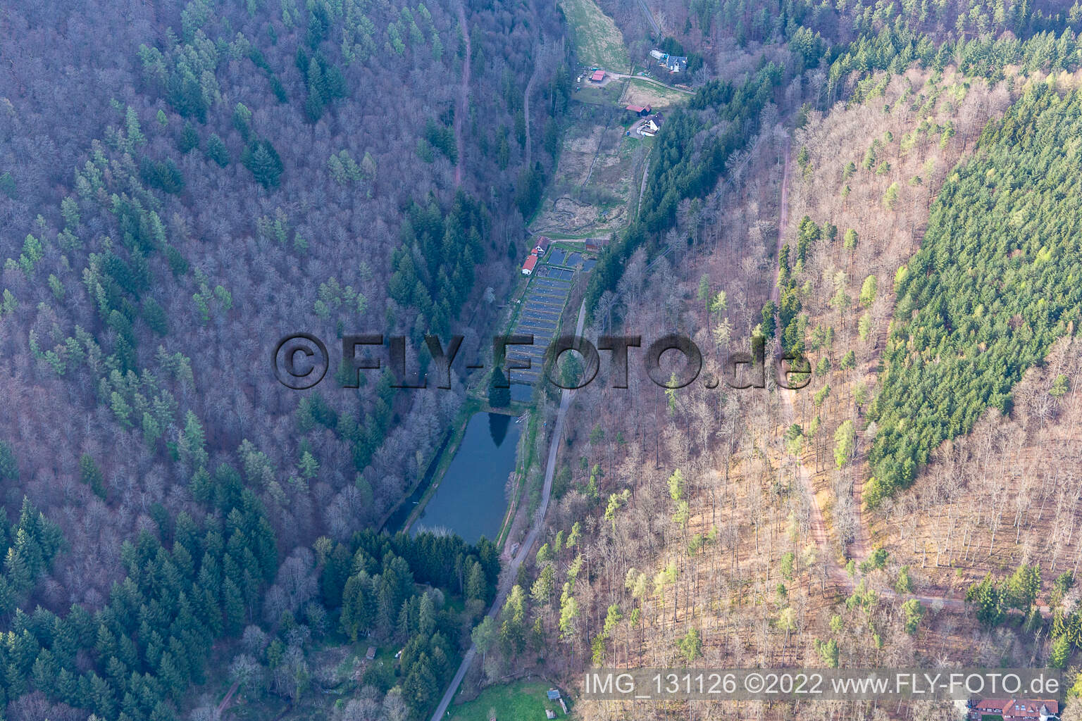 Luftaufnahme von Pfälzer Wald Forellen Inh. Stefan Erber in Eußerthal im Bundesland Rheinland-Pfalz, Deutschland