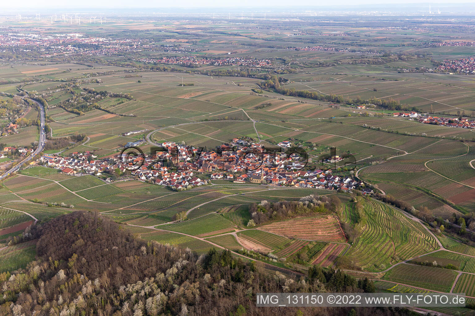 Birkweiler im Bundesland Rheinland-Pfalz, Deutschland von oben gesehen