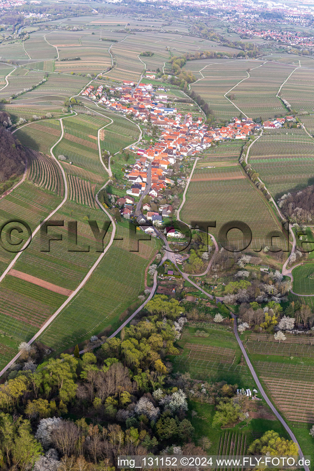 Luftbild von Ranschbach im Bundesland Rheinland-Pfalz, Deutschland