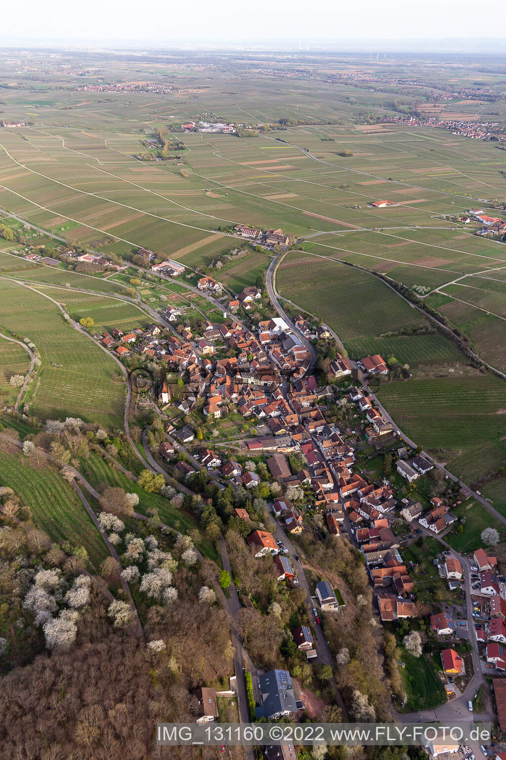 Leinsweiler im Bundesland Rheinland-Pfalz, Deutschland aus der Luft betrachtet