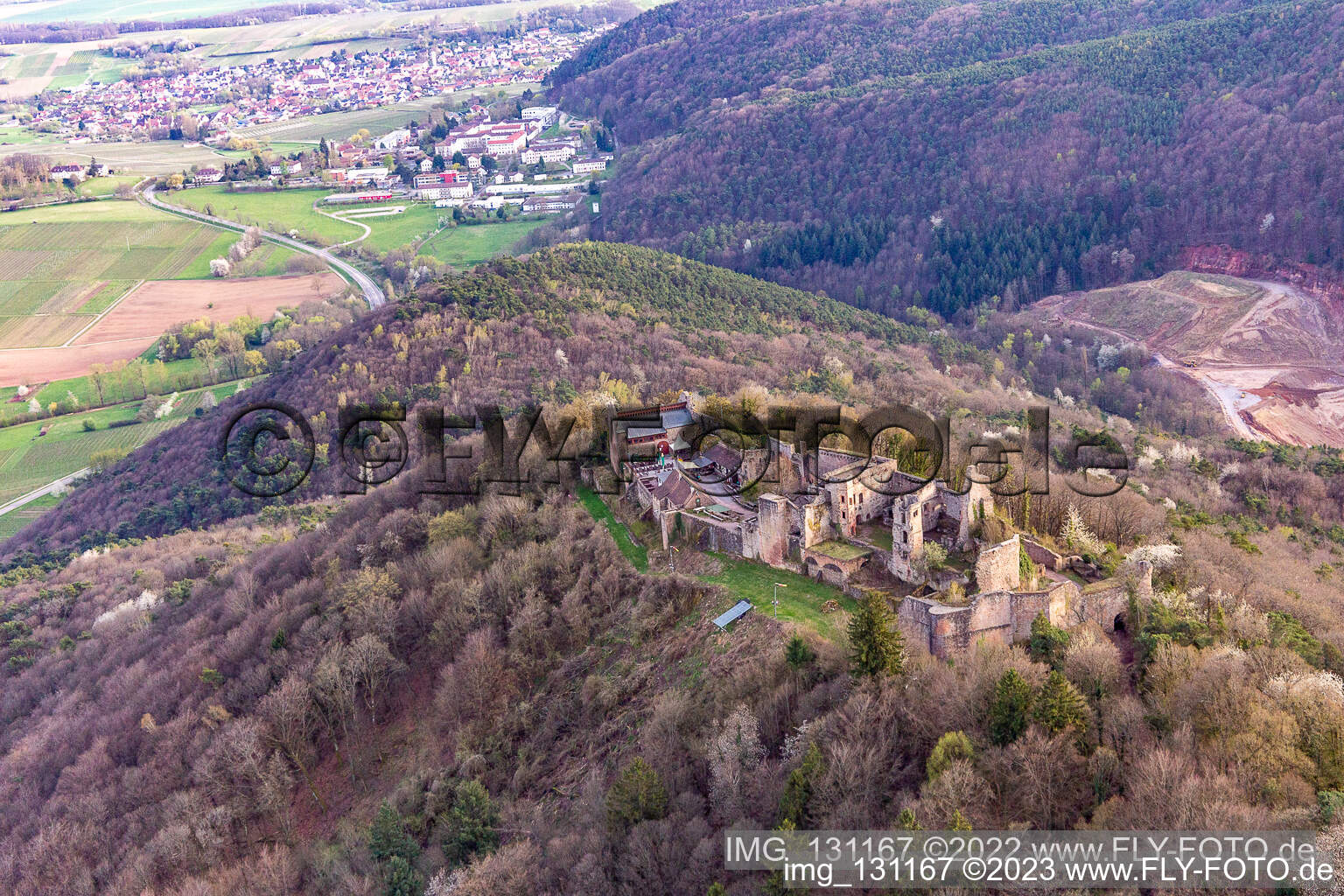Madenburg in Eschbach im Bundesland Rheinland-Pfalz, Deutschland aus der Luft betrachtet