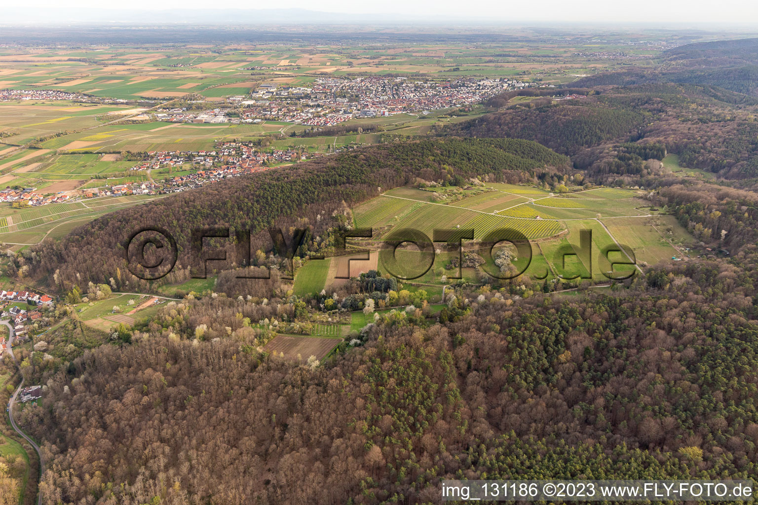 Schrägluftbild von Haardtrand-Wolfsteig in Pleisweiler-Oberhofen im Bundesland Rheinland-Pfalz, Deutschland