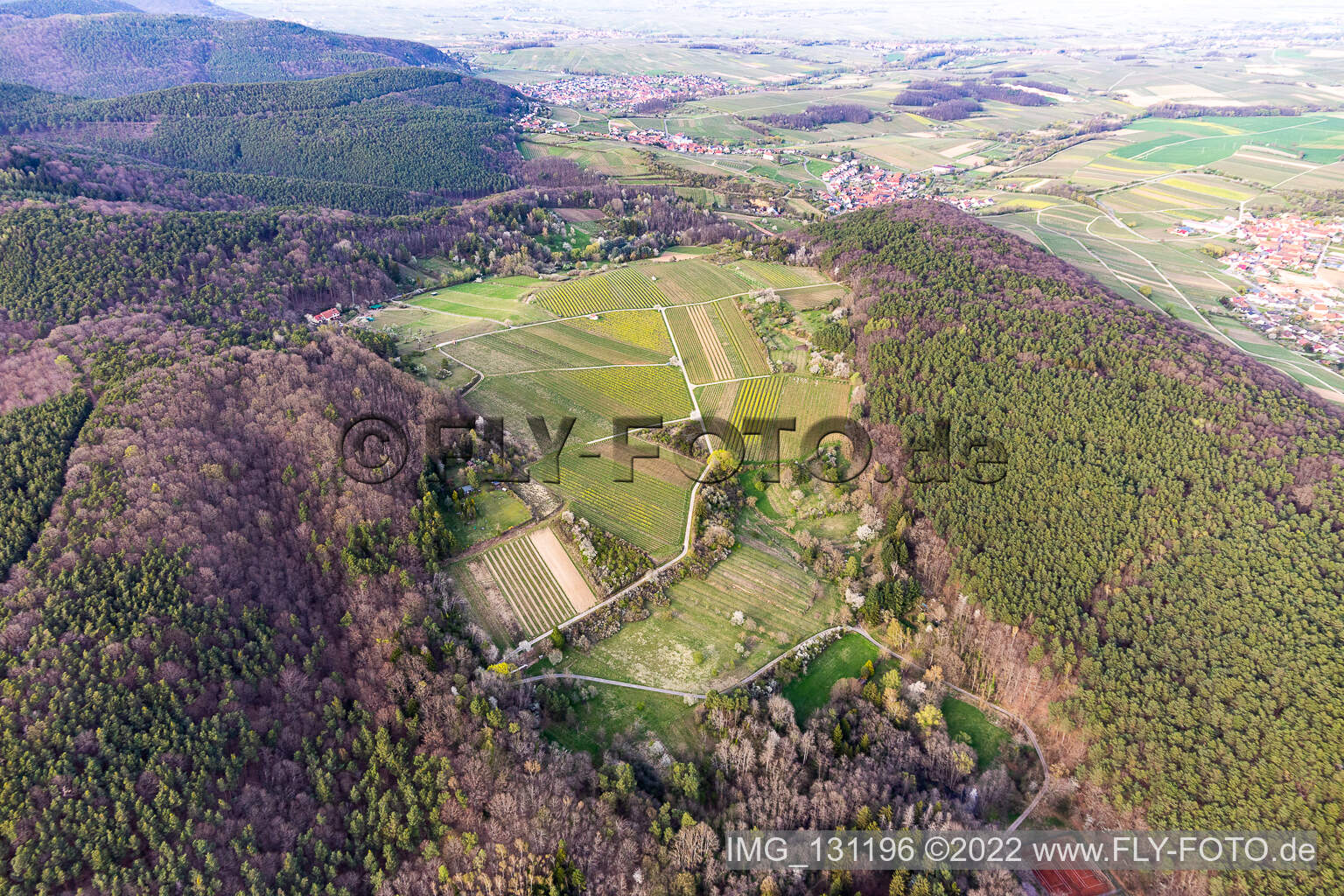 Haardtrand-Wolfsteig in Pleisweiler-Oberhofen im Bundesland Rheinland-Pfalz, Deutschland aus der Luft