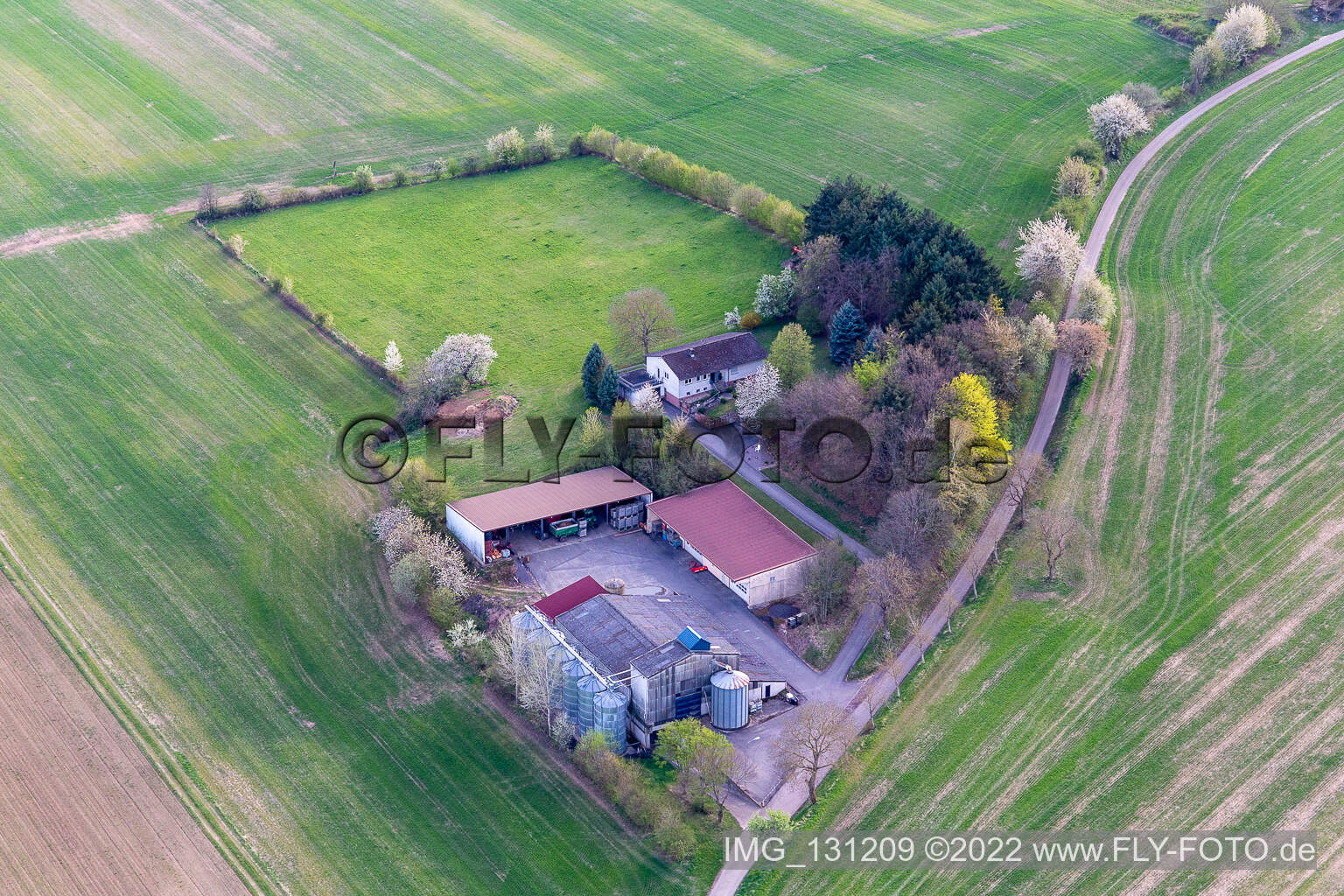 Drohnenbild von Dörrenbach im Bundesland Rheinland-Pfalz, Deutschland
