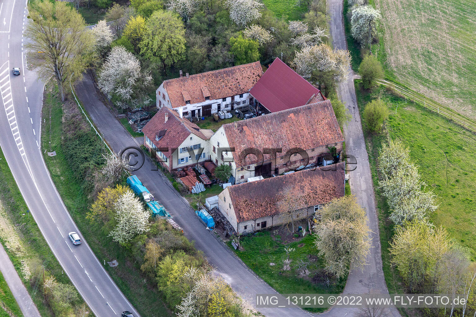 Dörrenbach im Bundesland Rheinland-Pfalz, Deutschland aus der Drohnenperspektive