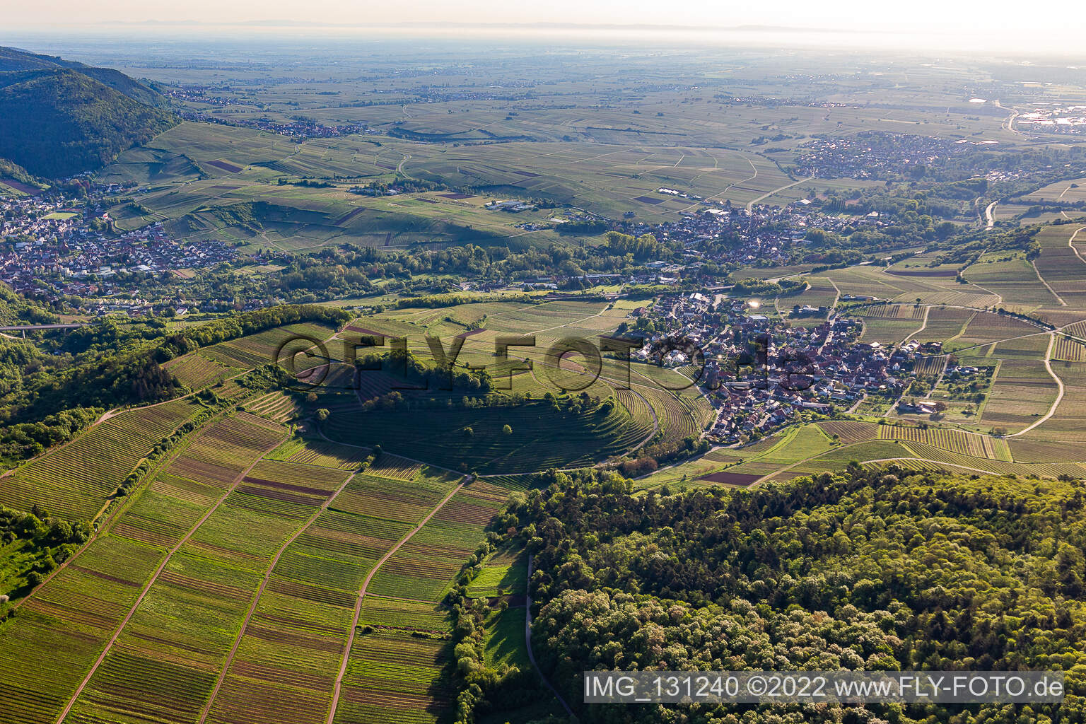 Luftbild von Kastanienbusch in Birkweiler im Bundesland Rheinland-Pfalz, Deutschland