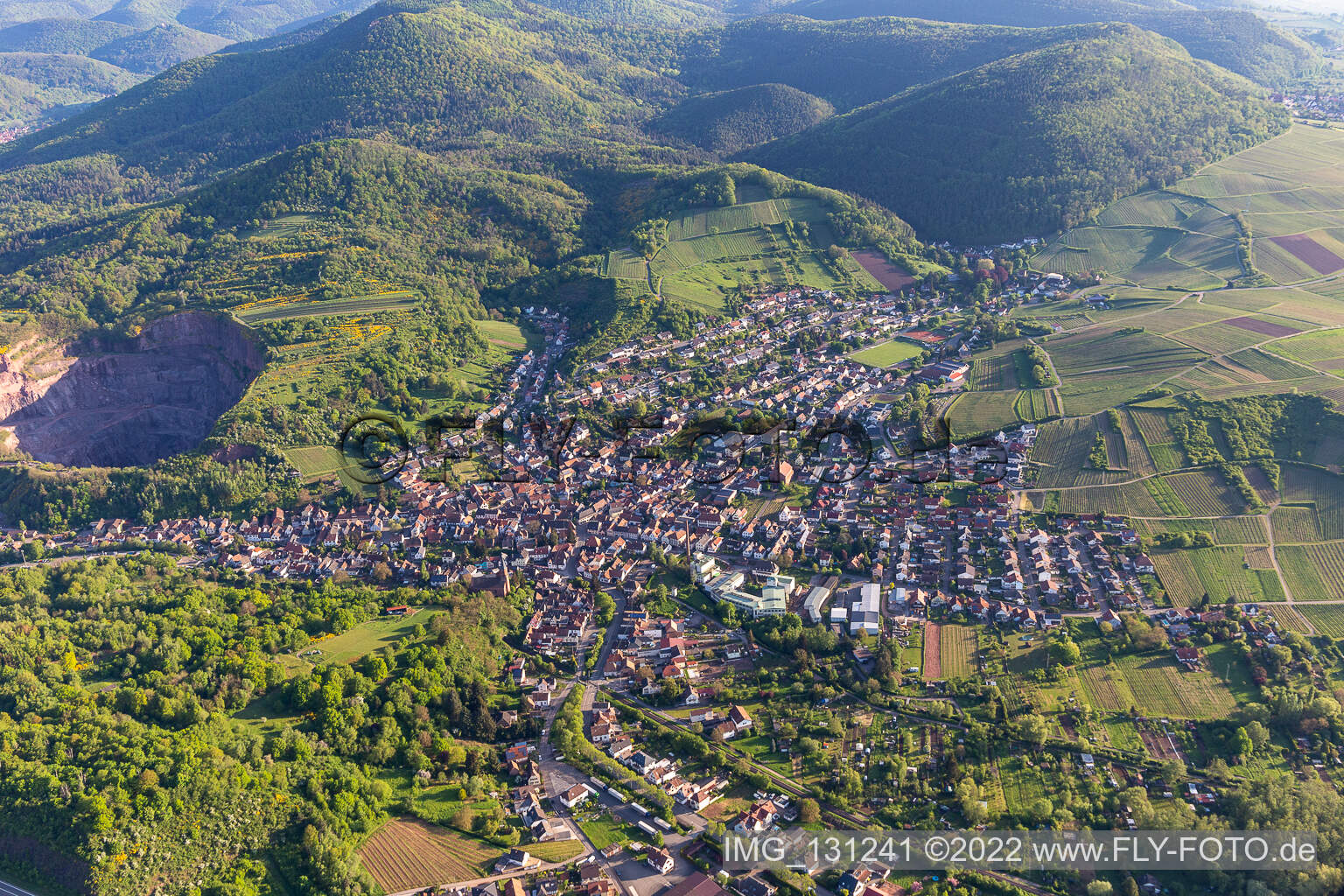 Albersweiler im Bundesland Rheinland-Pfalz, Deutschland aus der Vogelperspektive