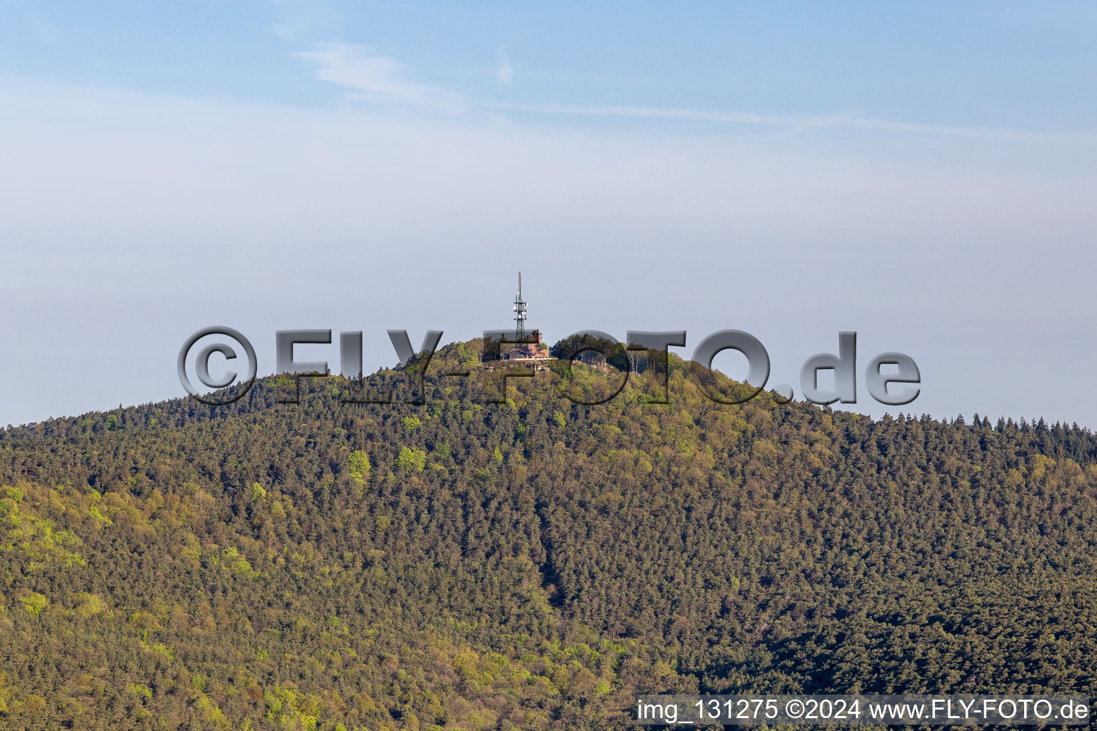 Kalmit in Maikammer im Bundesland Rheinland-Pfalz, Deutschland