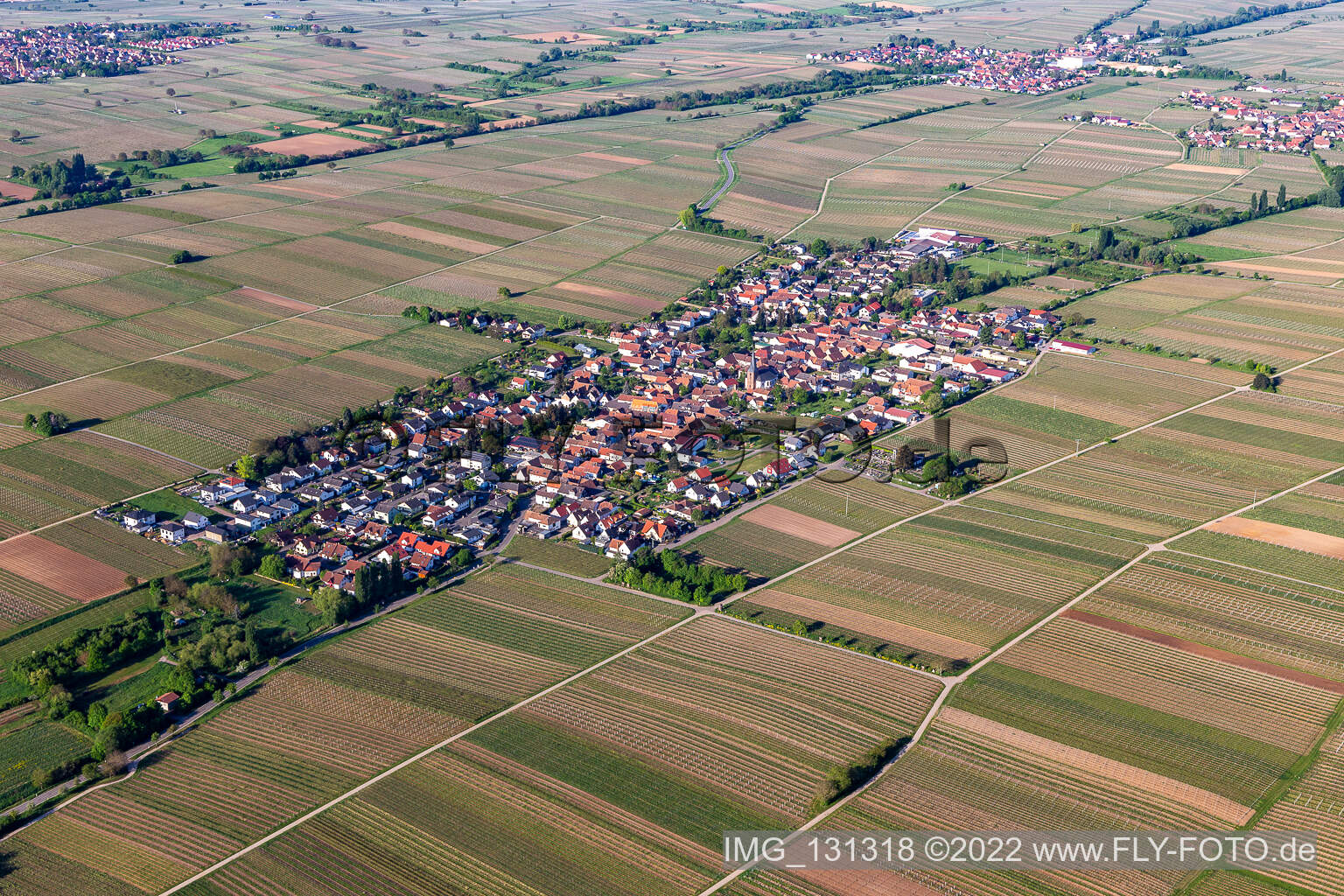 Roschbach im Bundesland Rheinland-Pfalz, Deutschland aus der Luft betrachtet