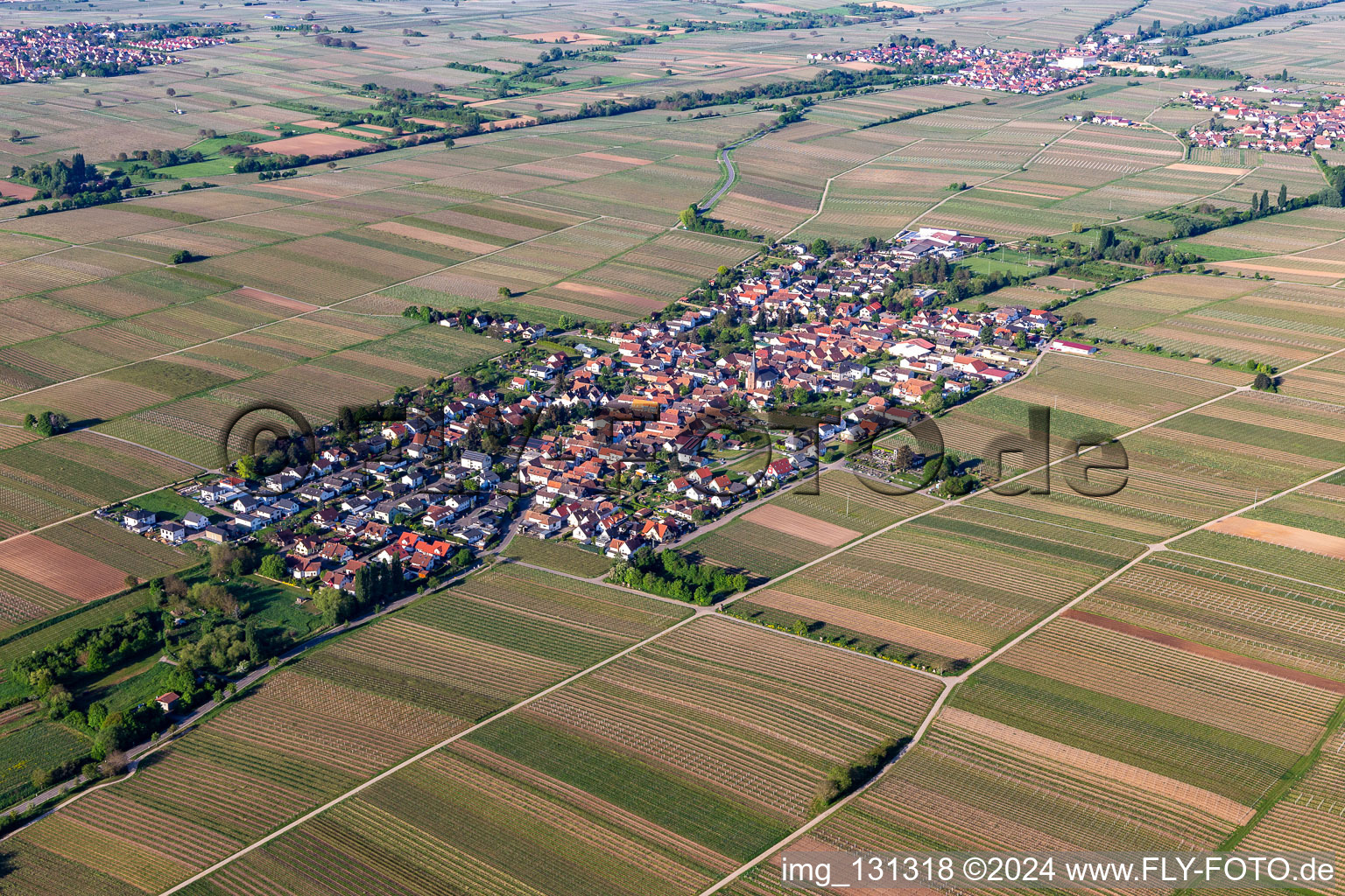 Roschbach im Bundesland Rheinland-Pfalz, Deutschland aus der Luft betrachtet