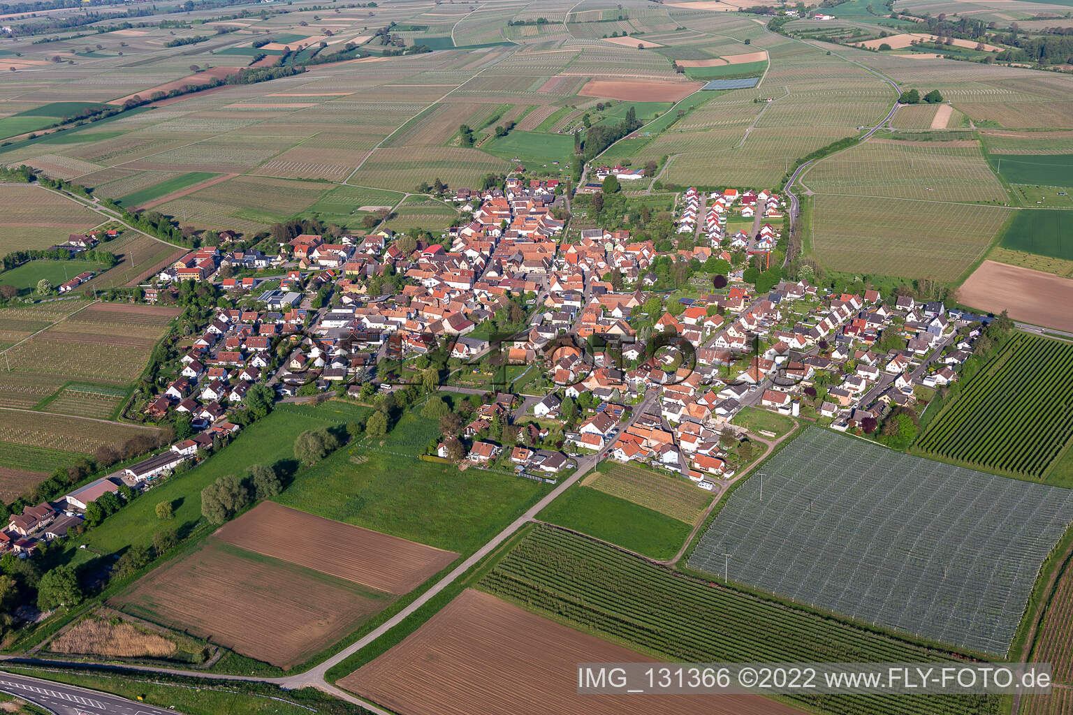 Impflingen im Bundesland Rheinland-Pfalz, Deutschland von der Drohne aus gesehen