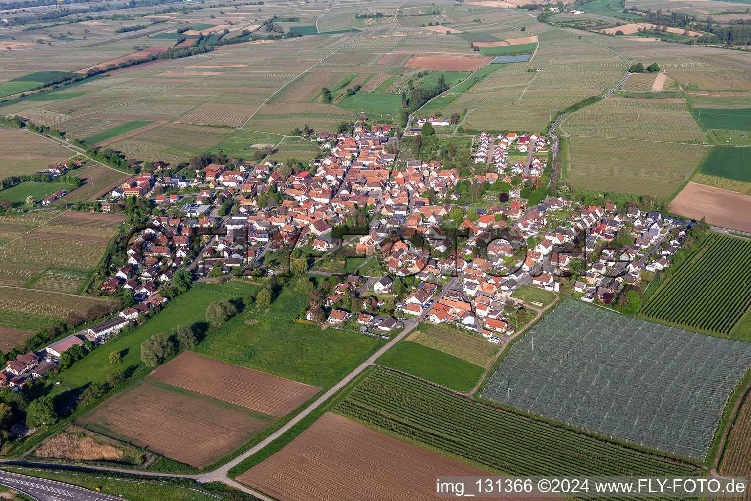 Impflingen im Bundesland Rheinland-Pfalz, Deutschland von der Drohne aus gesehen